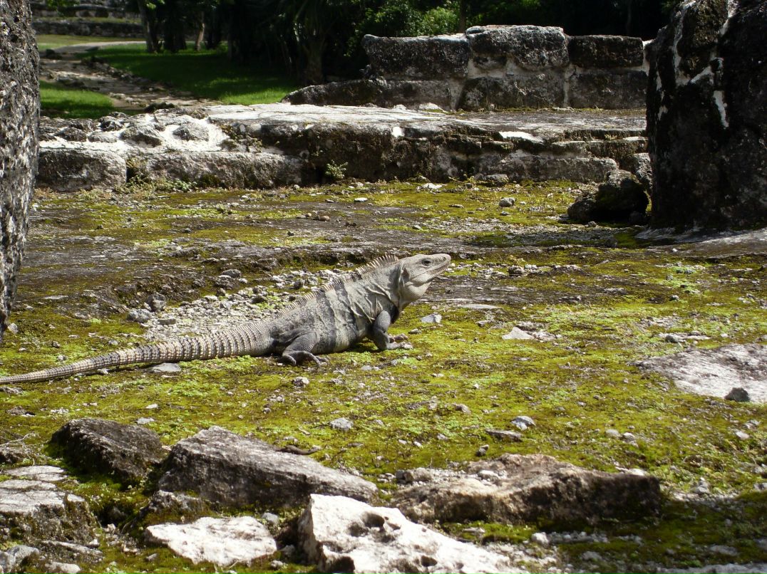 Юлия Шибаева | Санкт-Петербург