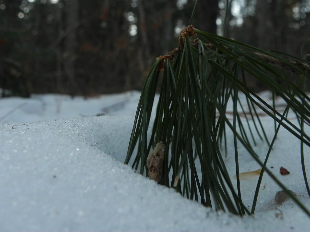 Полина Федоскова Teetotal | Владивосток