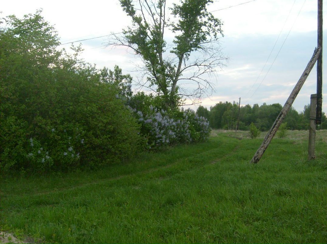 Александр Перепухов | Москва