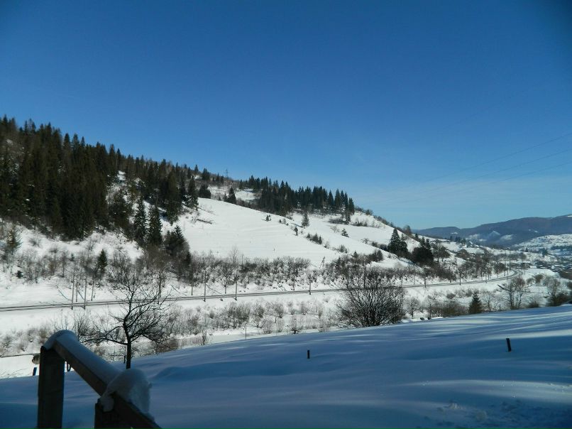 Роман Плахтина | Львов