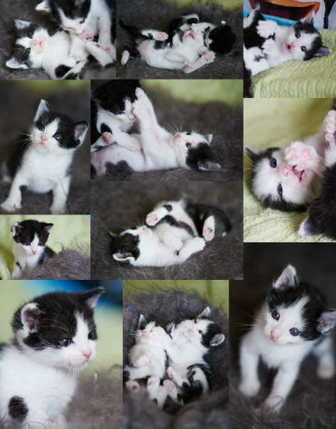 №61, Ирина Куницына, Белгород №61, Ирина Куницына, Белгород