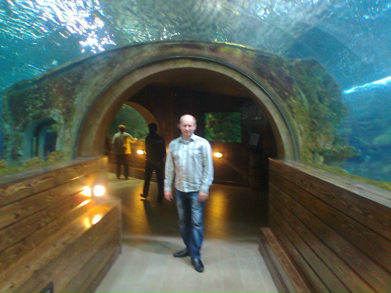 Сергей Холодов | 