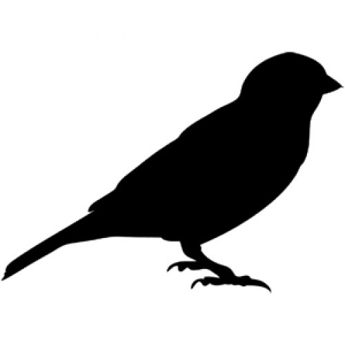 Серёжа Герасин | 