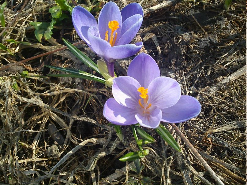 Никита Курбатов | Москва