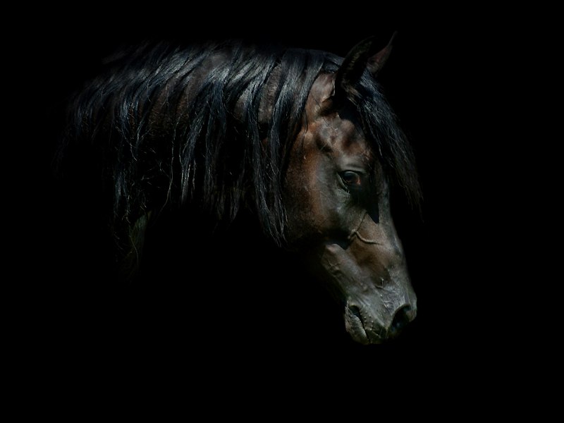 Галина Сидорова | Минск