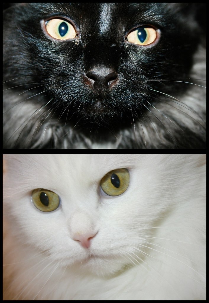 Анна Богданова | Москва