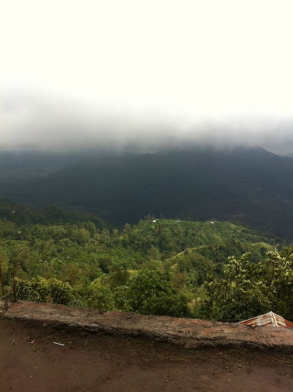 Мария Тарковская Сергеевна | Новосибирск