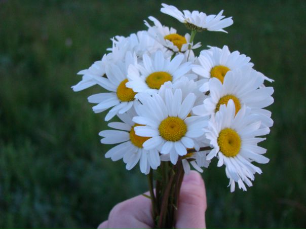 №153, Яна Плыснюк, Винница №153, Яна Плыснюк, Винница