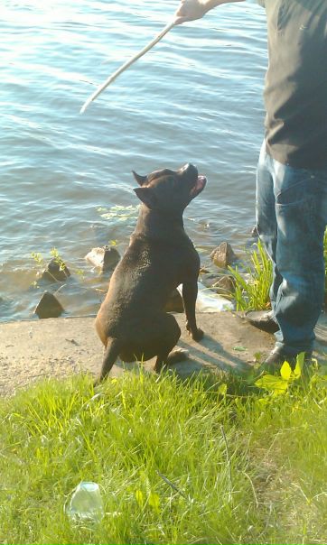 №50, Настя Листарова, 36 лет, Калуга №50, Настя Листарова, 36 лет, Калуга