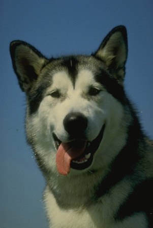 Павел Кузнецов | Москва