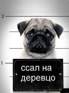 Антон Мижевов ***МuХаJIbI4Ь*** | Феодосия