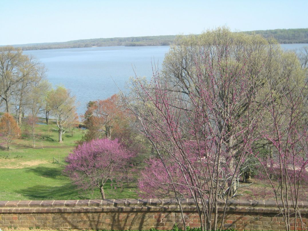 Наталья Драган | New York City