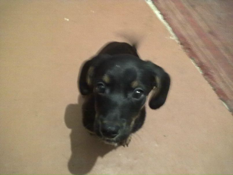 Серёга Демченко | Харьков