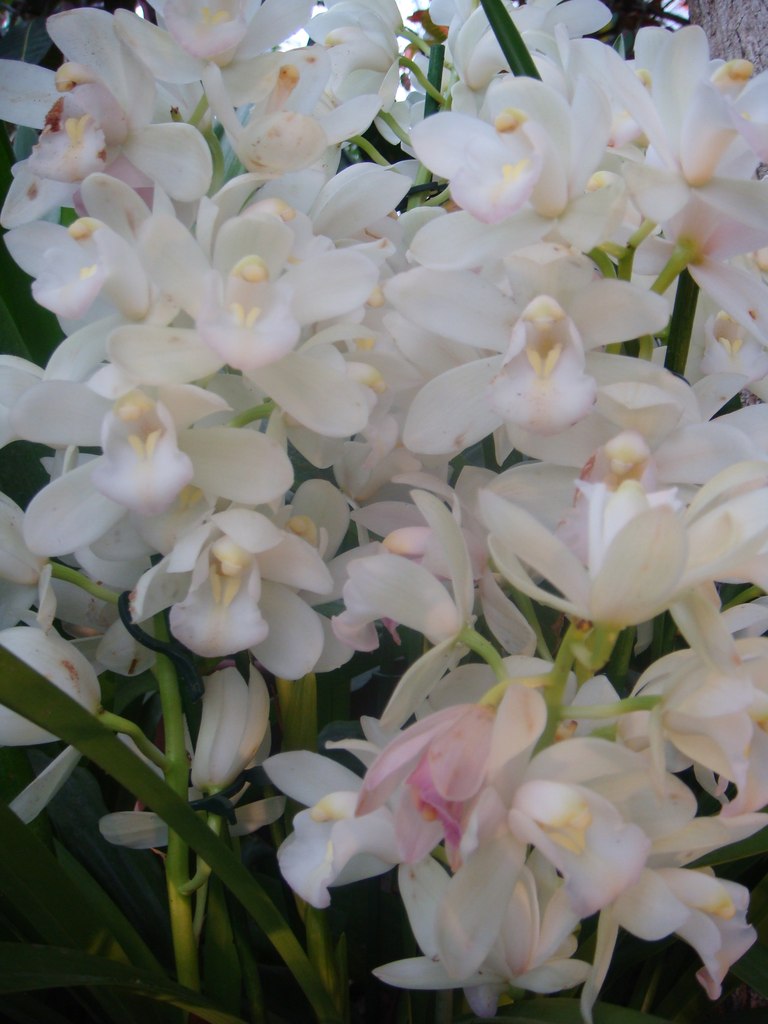 Ирина Устинина | Москва