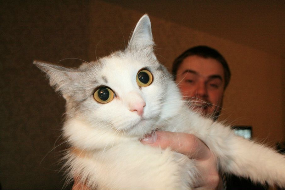 №38, Паша Пеккоев, Сочи №38, Паша Пеккоев, Сочи