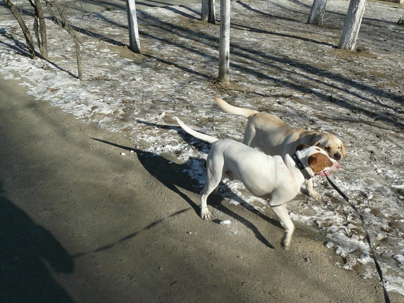 Инна Ошовская | Одесса