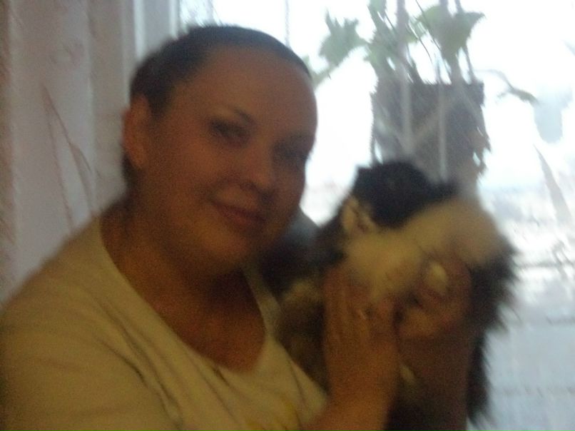 Серж Майоров | Санкт-Петербург