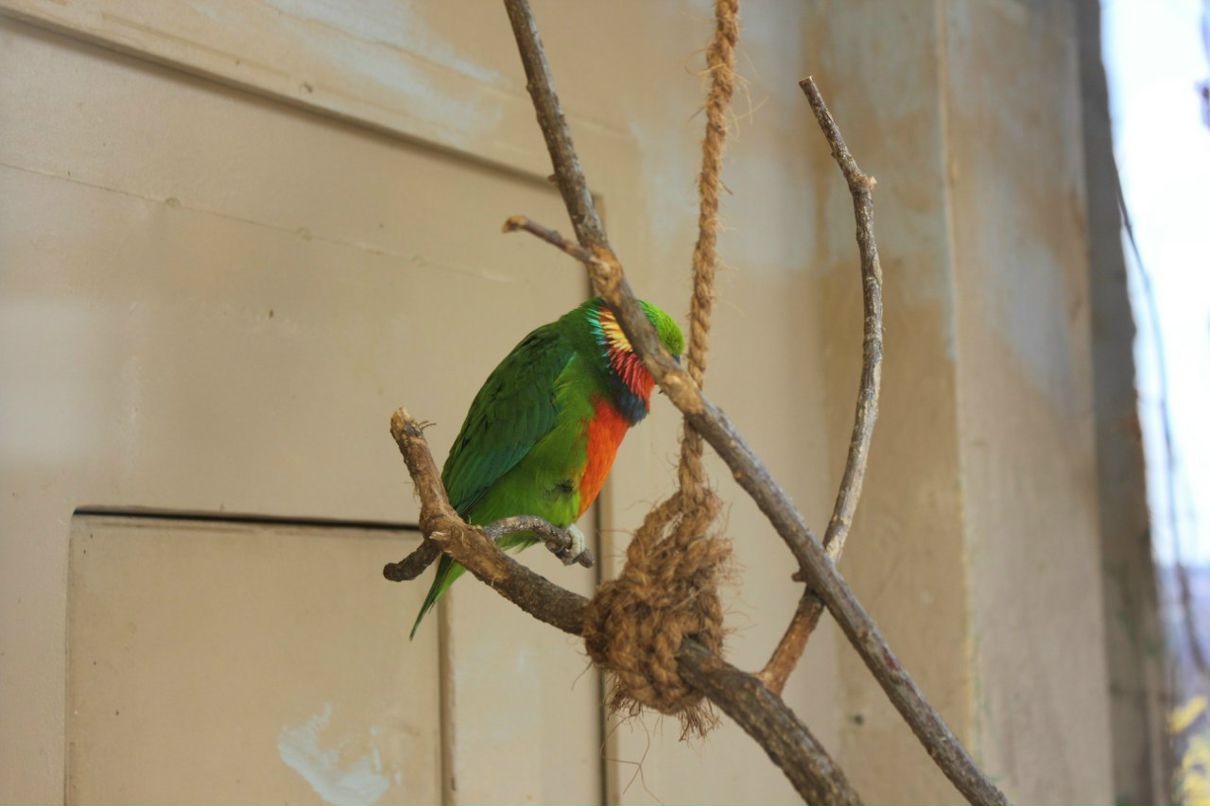 Кирилл Смирнов | Санкт-Петербург