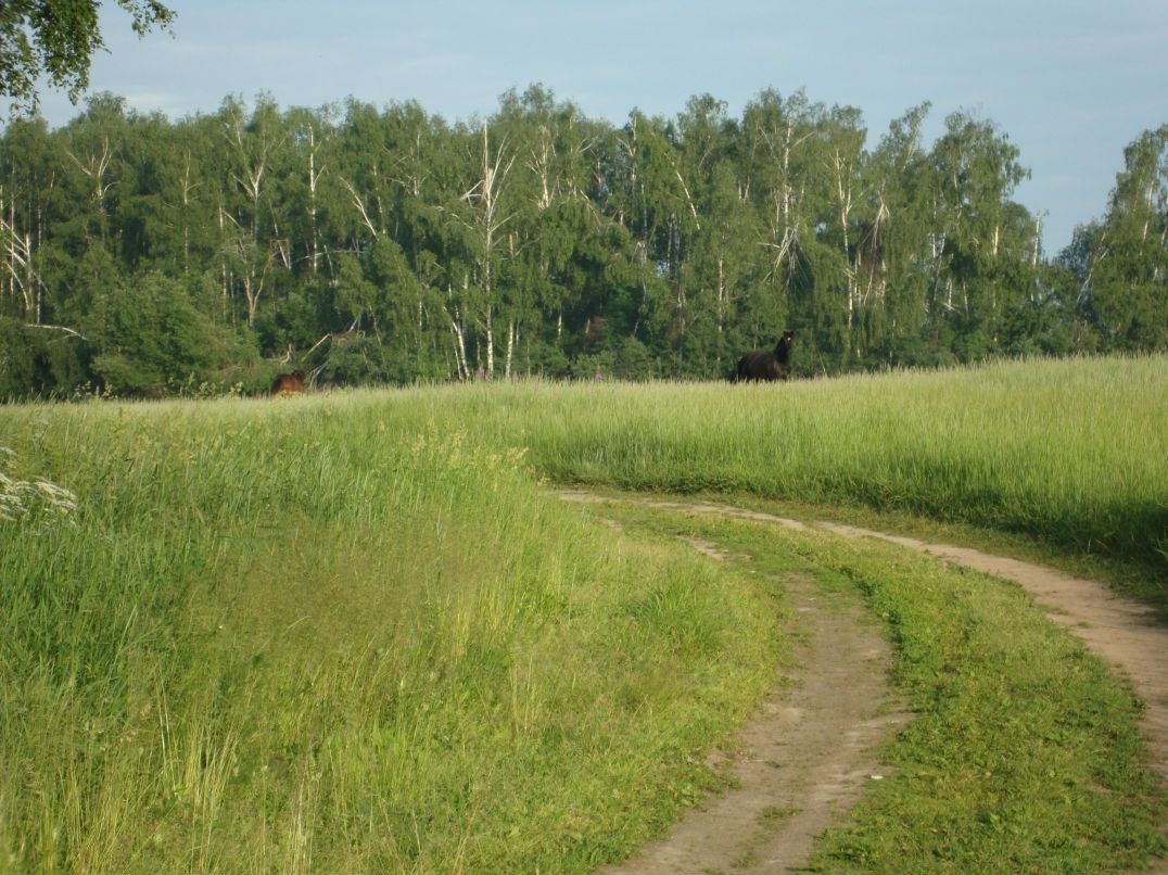 Евгений Жендосович 