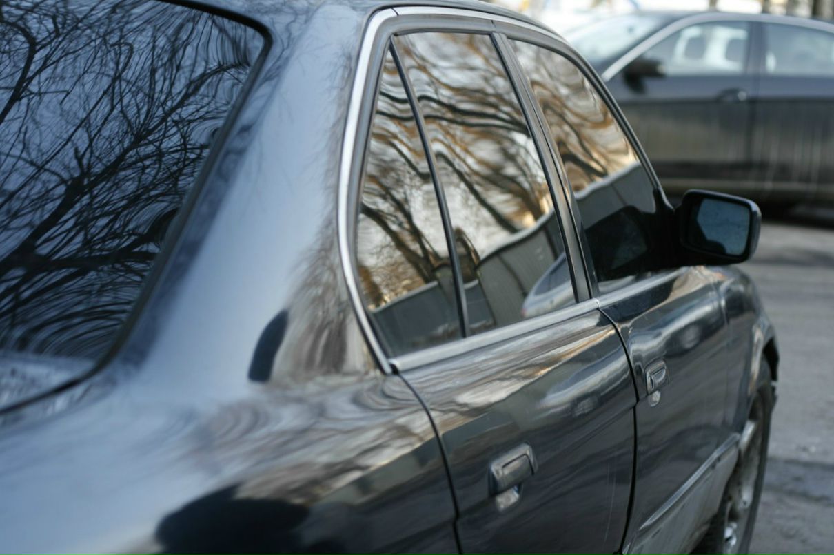 White Fluffy Антонио | Москва