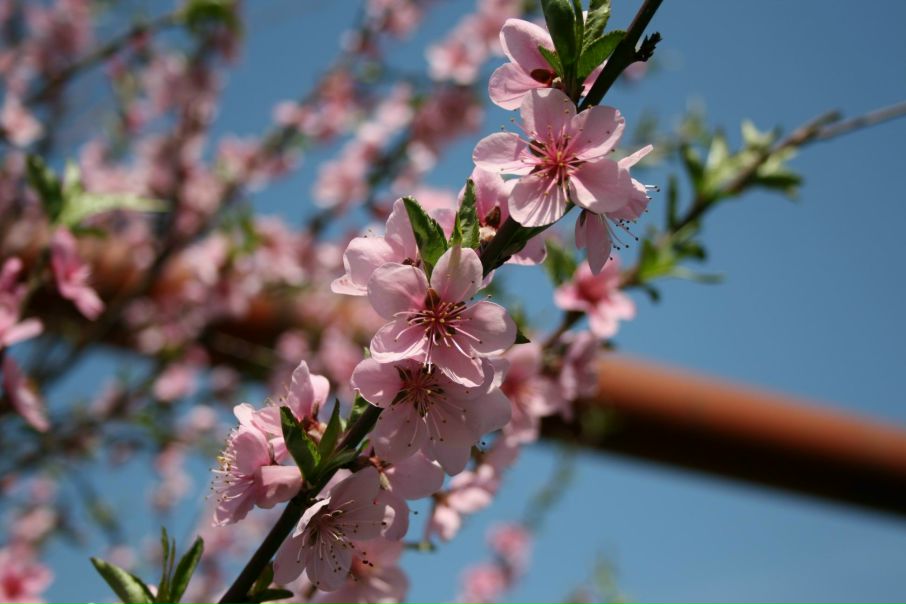 №30, Дмитрий Фокус, Таганрог №30, Дмитрий Фокус, Таганрог