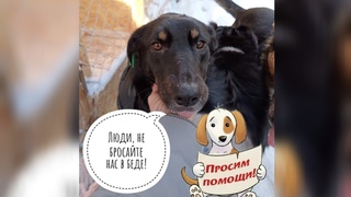 ВЕЧЕР МИЛОСЕРДИЯ.  ДЕНЬ ПОЛТИННИКА В ПОМОЩЬ БЕЗДОМЫШАМ