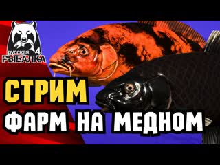 #shorts 🔴 РР4 ТОП ФАРМ! Как фармить новичку РР4?
