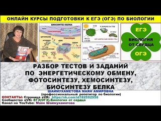 РАЗБОР ТЕСТОВ И ЗАДАНИЙ ПО КЛЕТОЧНОМУ МЕТАБОЛИЗМУ