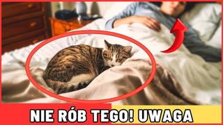 CZY NAPRAWD POWINIENE POZWALA SWOJEMU KOTU SPA Z TOB W KU  CO MWI NAUKA