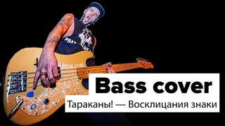 Тараканы! - Восклицания знаки (bass cover)