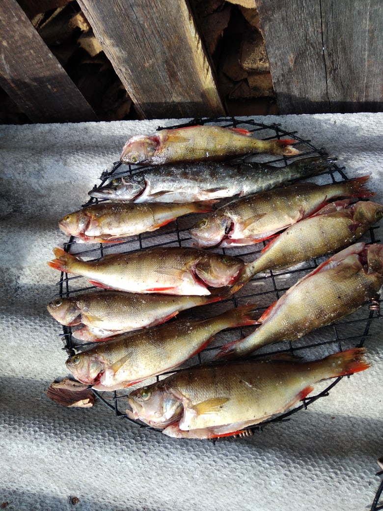 Артем Кошелев | Архангельск