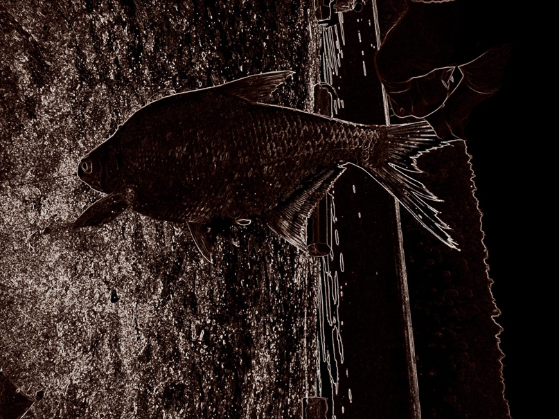 Ильдар Нафиков Dok | Уфа