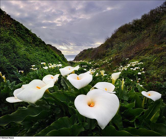 Тамара Сергеева | Санкт-Петербург