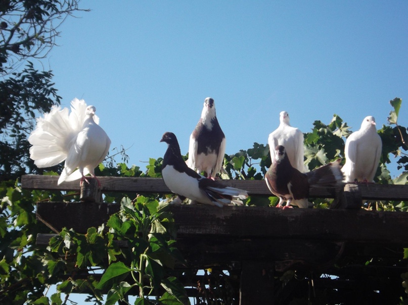 Ирина Судакова | Санкт-Петербург