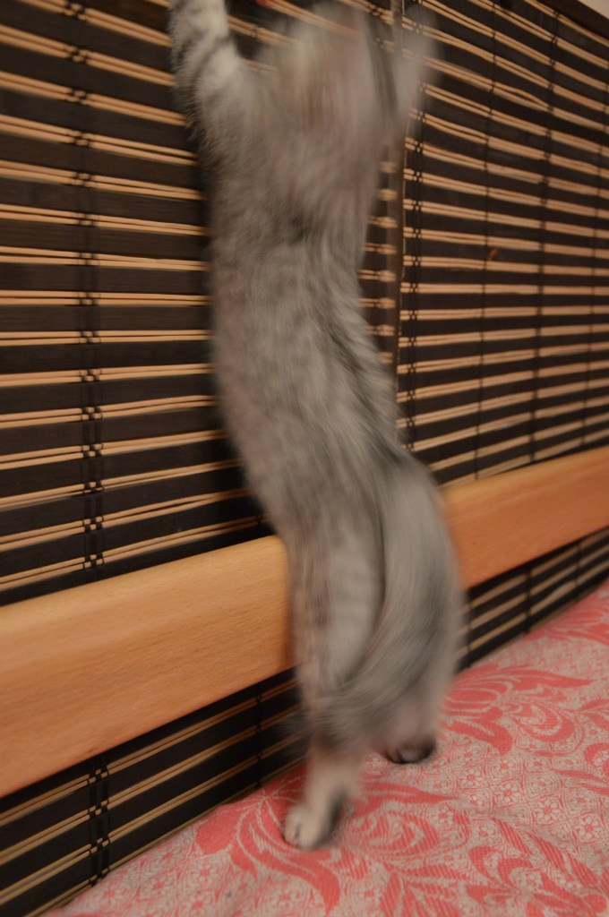 Татьяна Дубровская | Москва