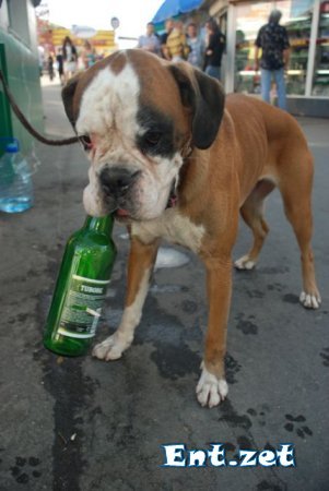 Саша Коротков