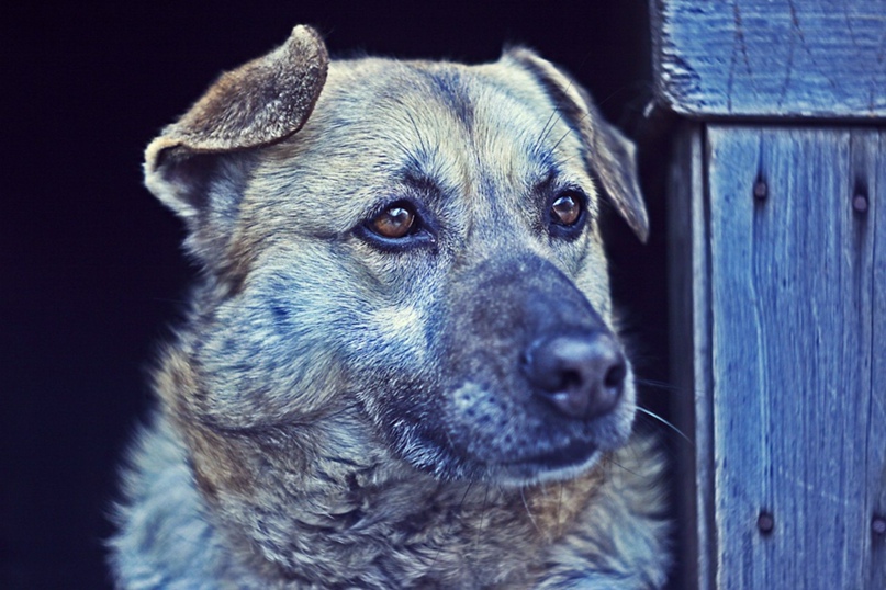 Ксения Калинина | Москва