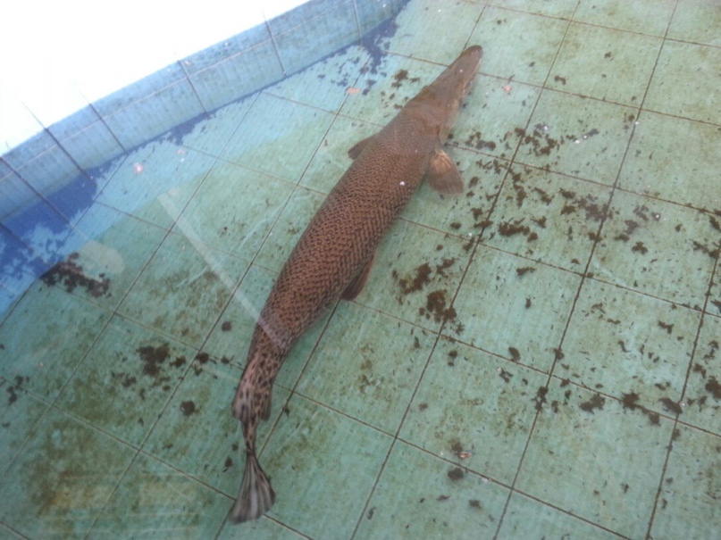 Юрий Швецов | Тюмень