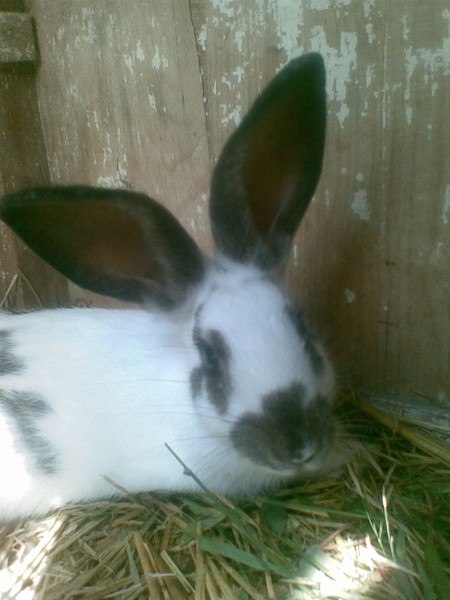 Анна Кропотова | Ключи