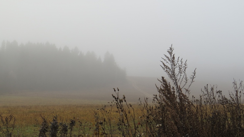 Ярослав Кравченко | Москва