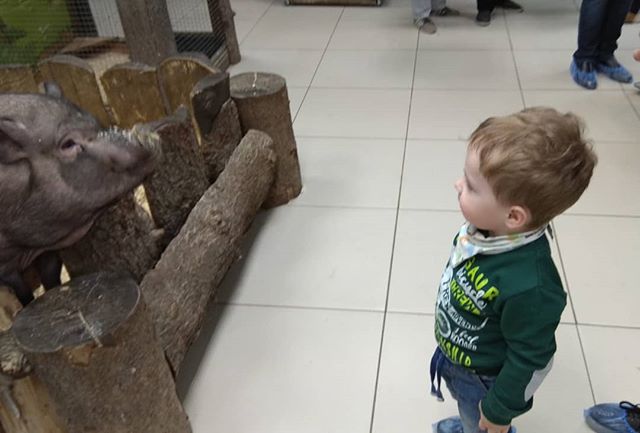 Рустем Тимиршаехов tom47 | Уфа