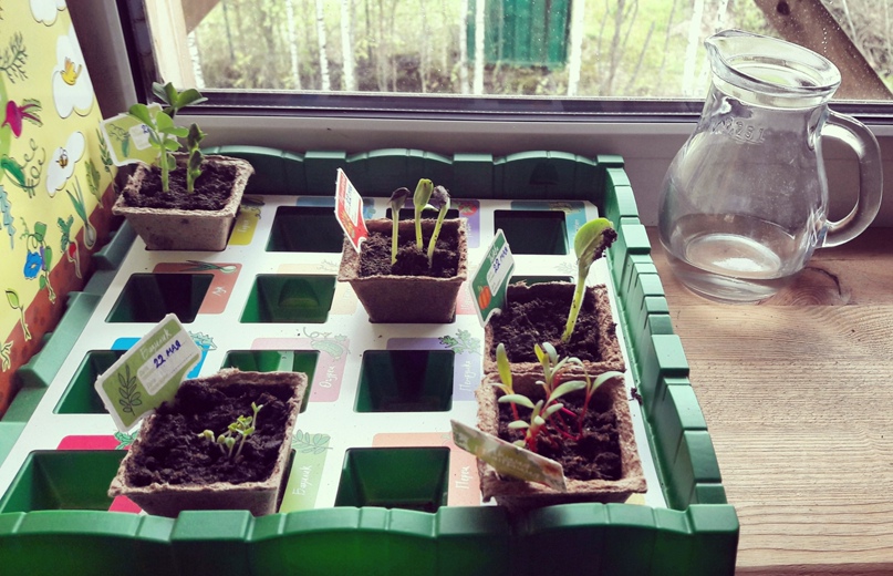 Ана Букашкина | Санкт-Петербург