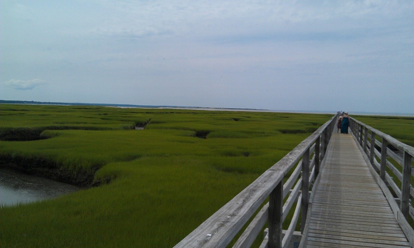 Элина Расулова |