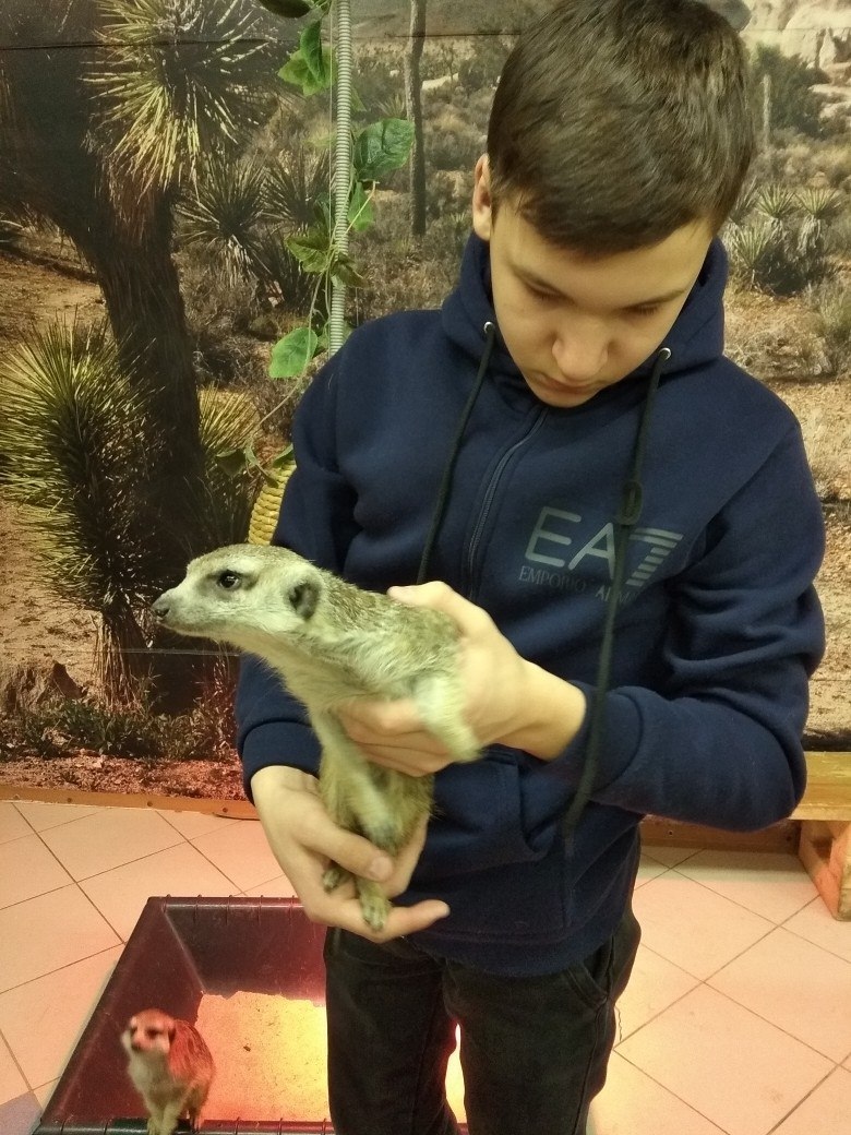 Вероника Тихомирова | Воронеж