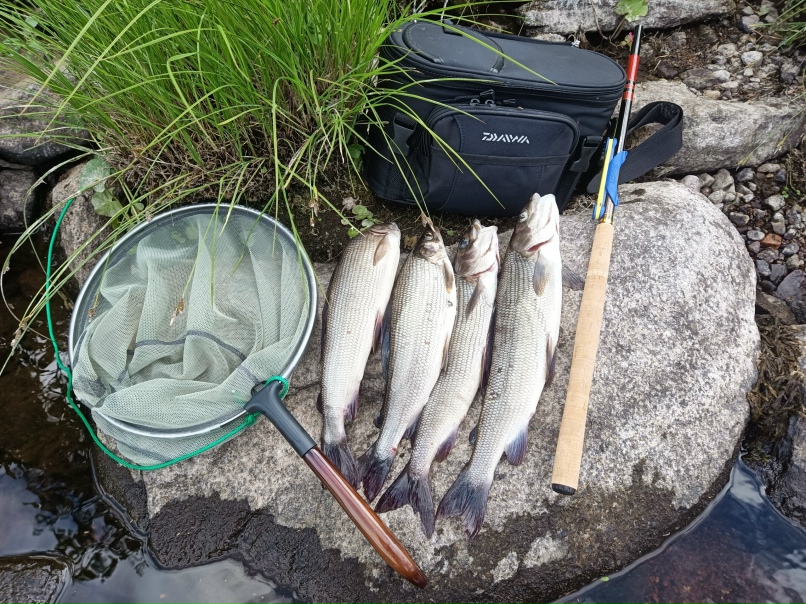 Дмитрий Зайцев | Санкт-Петербург