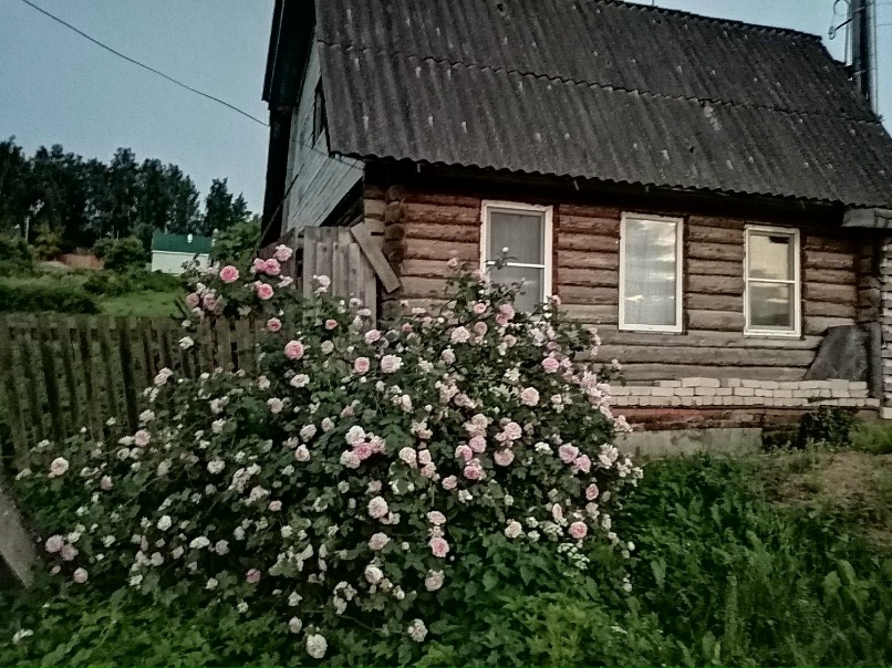 Елизавета Соловьева | Дорогобуж