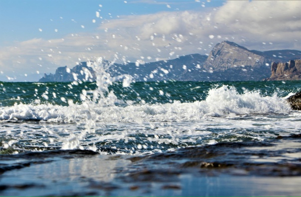 В контакте море В контакте море