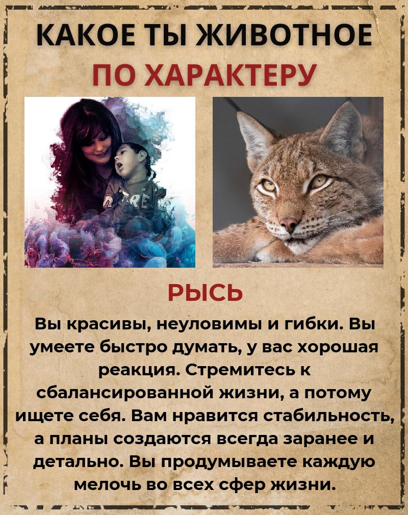 Дарья Прохорова | Белово