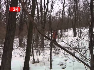 На Дніпропетровщину з Донбасу мігрували дикі звірі