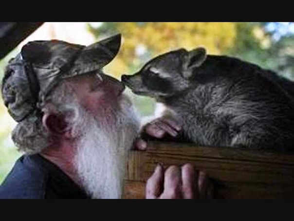Gunshow Your Favorite Raccoon